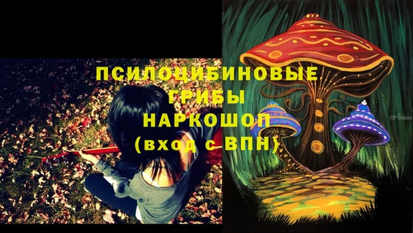 таблы Корсаков