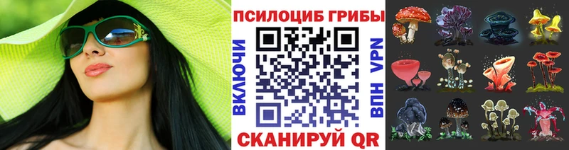 Купить закладки  Сергач  Галлюциногенные грибы Cubensis 